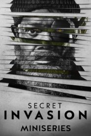 Secret Invasion: Season 1 Afsomali